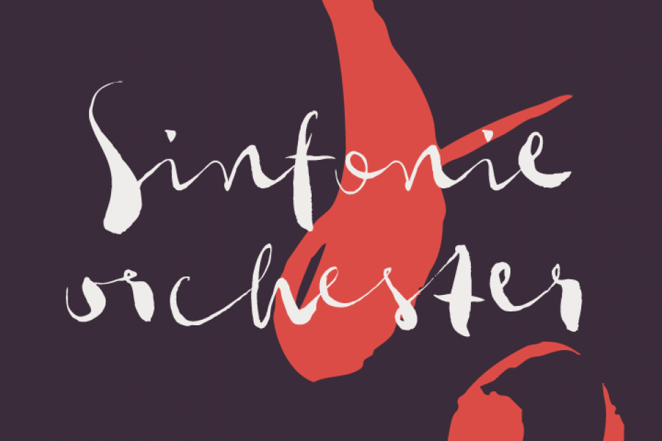 Klassikbegeisterte spielen Werke klassischer Komponisten Sinfonieorchester