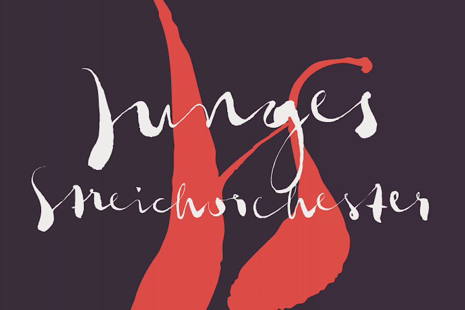  Junges Streicherorchester