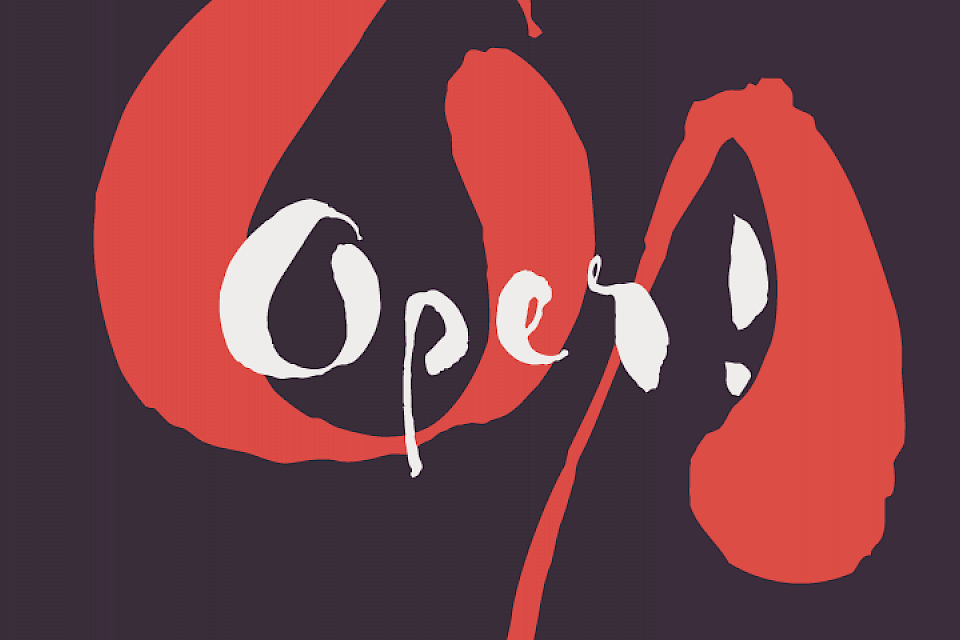 Oper für Anfänger Das Opernprojekt