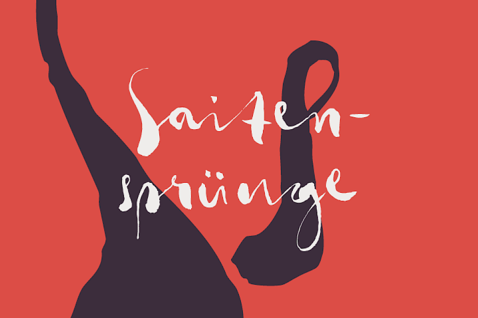 Dynamisches Gitarrenensemble Saitensprünge Dynamisches Gitarrenensemble Saitensprünge